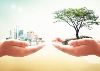 Responsabilidade Ambiental, veja a importância da Sustentabilidade Na Empresa